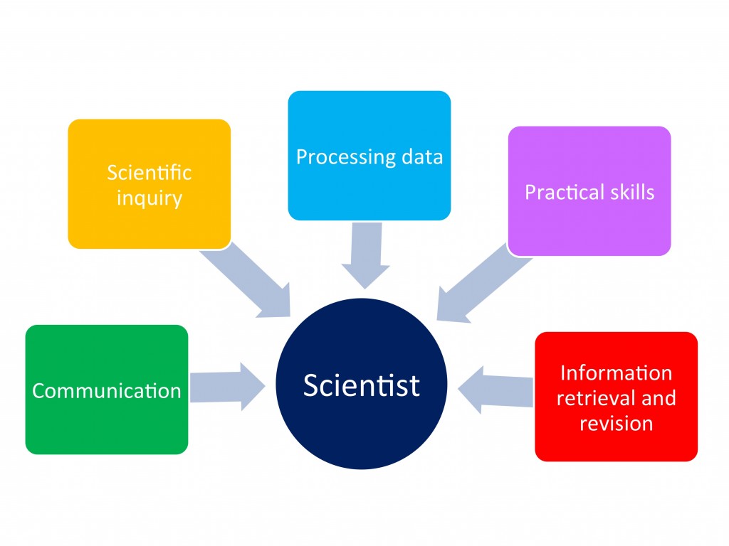 What skills does a scientist need?