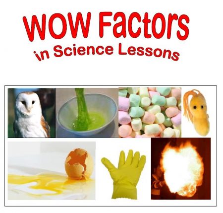 Demonstrations in science teaching - the science teacher