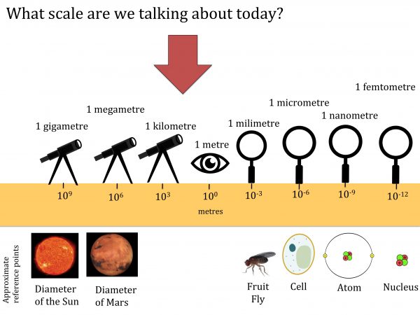 Zooming in and out in science - the science teacher