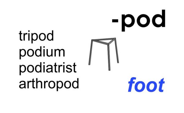 Reading for meaning in science | the science teacher